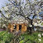 La Maisonnette Sous Le Cerisier Bergonne
