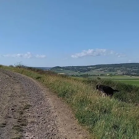 La Maisonnette Sous Le Cerisier Bergonne
